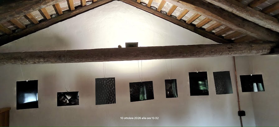 IMG20261010153229.jpg