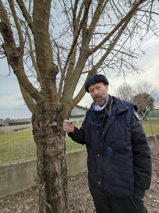 Mignelli e il “Cimitero dei ricordi” – Camino al T (Ud)